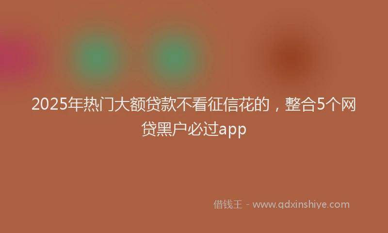 2025年热门大额贷款不看征信花的，整合5个网贷黑户必过app