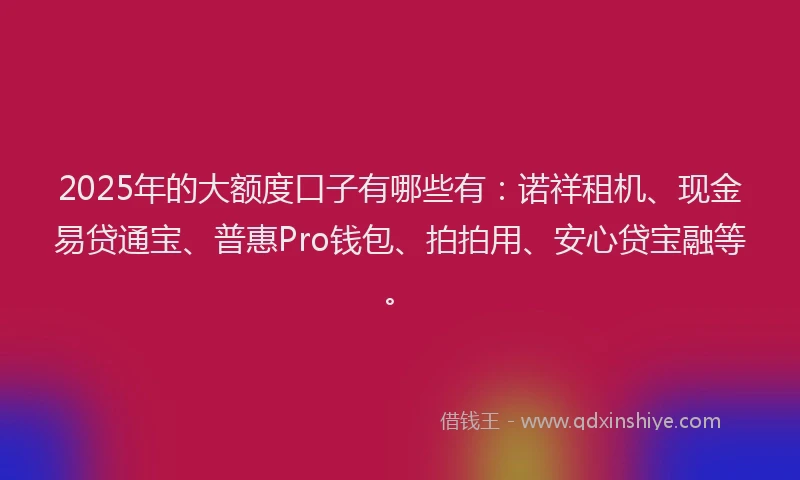 2025年的大额度口子有哪些有：诺祥租机、现金易贷通宝、普惠Pro钱包、拍拍用、安心贷宝融等。