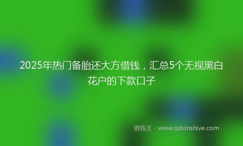 2025年热门备胎还大方借钱，汇总5个无视黑白花户的下款口子