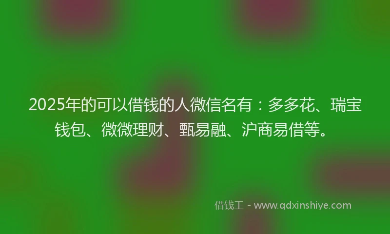 2025年的可以借钱的人微信名有：多多花、瑞宝钱包、微微理财、甄易融、沪商易借等。