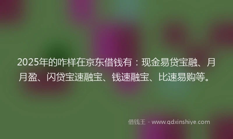 2025年的咋样在京东借钱有：现金易贷宝融、月月盈、闪贷宝速融宝、钱速融宝、比速易购等。