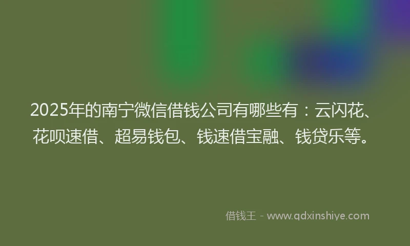 2025年的南宁微信借钱公司有哪些有：云闪花、花呗速借、超易钱包、钱速借宝融、钱贷乐等。