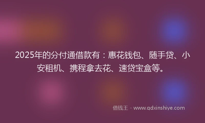 2025年的分付通借款有：惠花钱包、随手贷、小安租机、携程拿去花、速贷宝盒等。