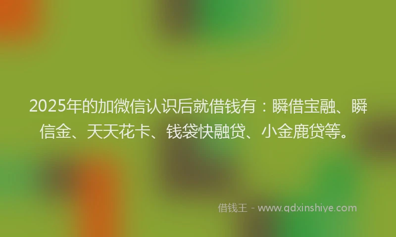2025年的加微信认识后就借钱有：瞬借宝融、瞬信金、天天花卡、钱袋快融贷、小金鹿贷等。
