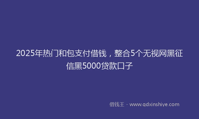 2025年热门和包支付借钱，整合5个无视网黑征信黑5000贷款口子