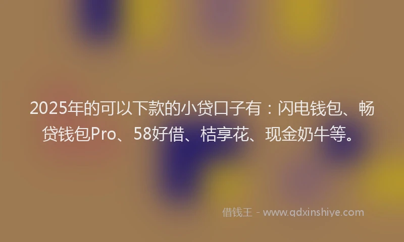 2025年的可以下款的小贷口子有：闪电钱包、畅贷钱包Pro、58好借、桔享花、现金奶牛等。