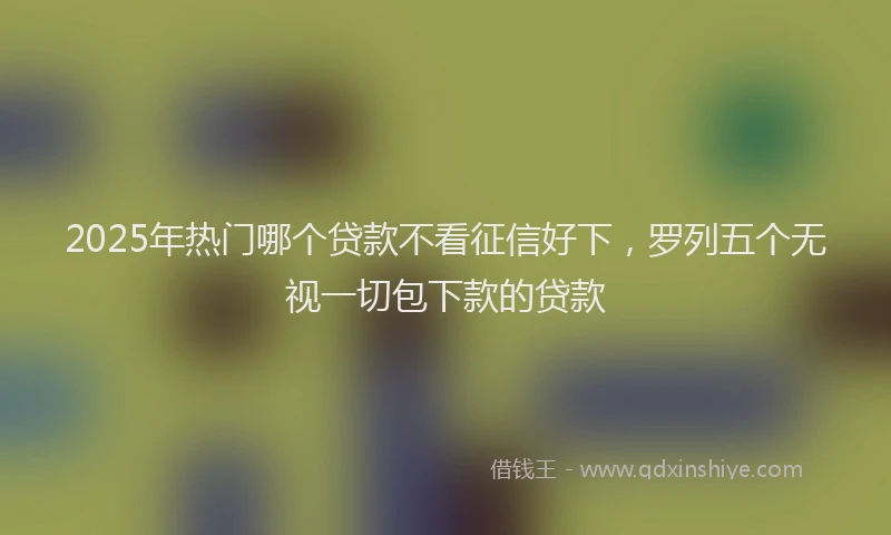 2025年热门哪个贷款不看征信好下，罗列五个无视一切包下款的贷款