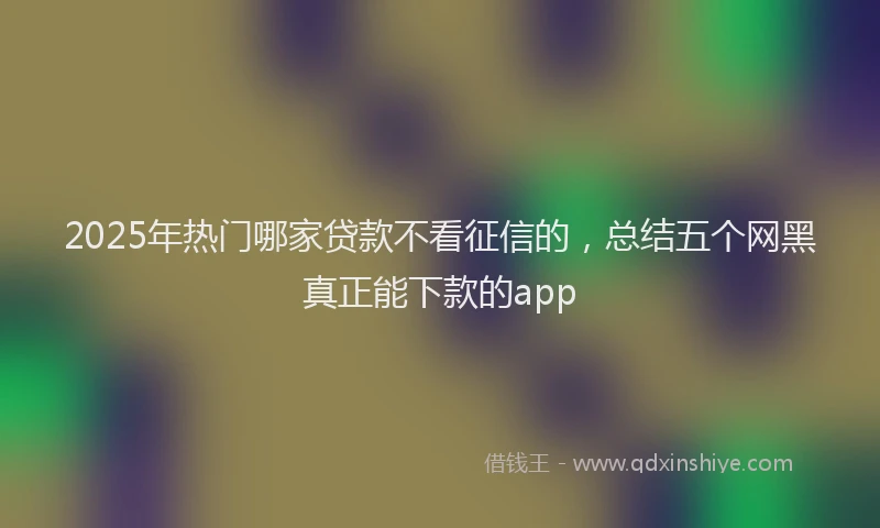 2025年热门哪家贷款不看征信的，总结五个网黑真正能下款的app