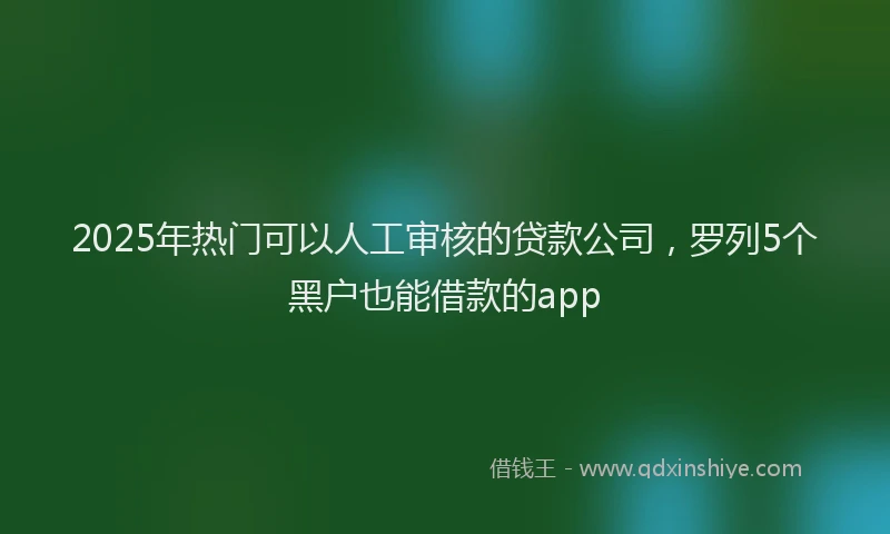 2025年热门可以人工审核的贷款公司，罗列5个黑户也能借款的app