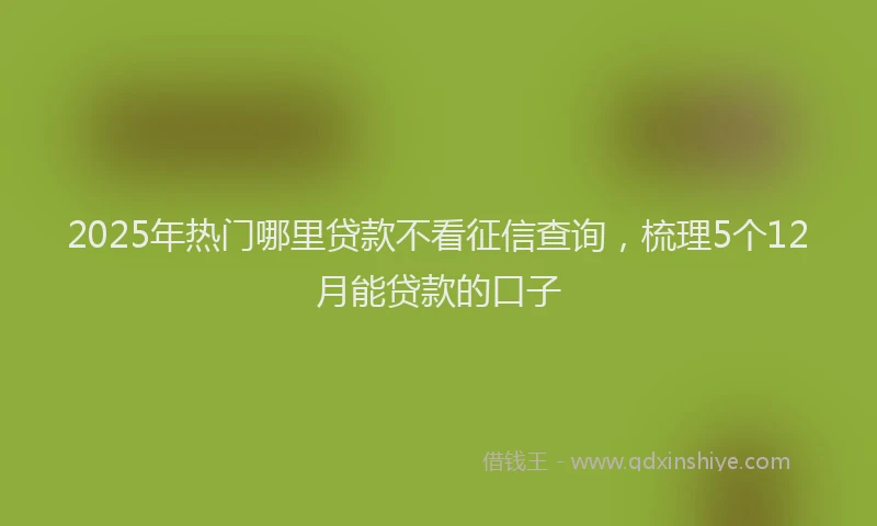 2025年热门哪里贷款不看征信查询，梳理5个12月能贷款的口子