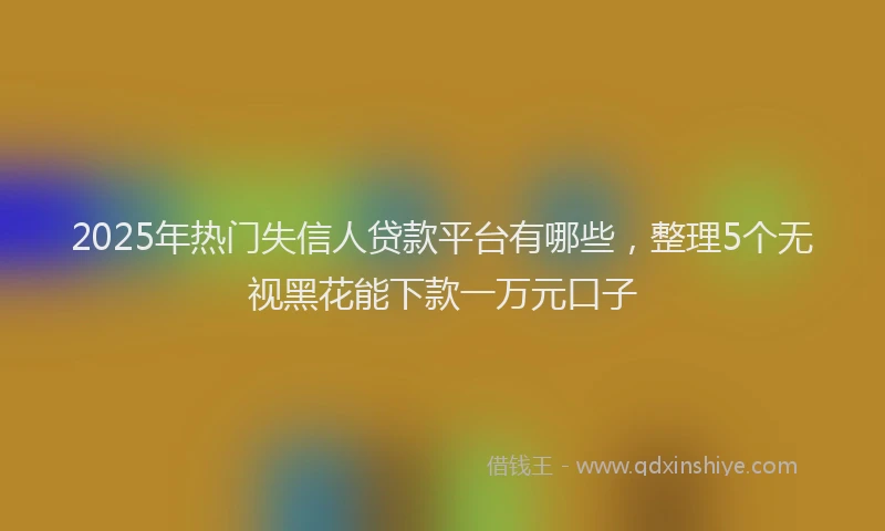 2025年热门失信人贷款平台有哪些，整理5个无视黑花能下款一万元口子
