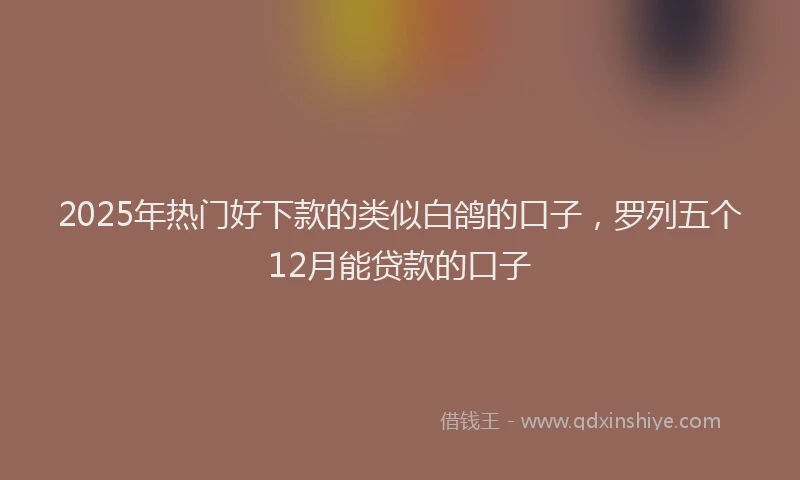2025年热门好下款的类似白鸽的口子，罗列五个12月能贷款的口子