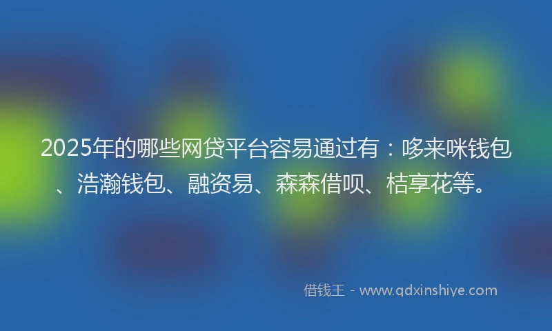 2025年的哪些网贷平台容易通过有：哆来咪钱包、浩瀚钱包、融资易、森森借呗、桔享花等。