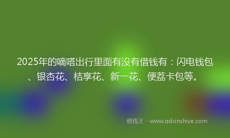 2025年的嘀嗒出行里面有没有借钱有：闪电钱包、银杏花、桔享花、新一花、便荔卡包等。