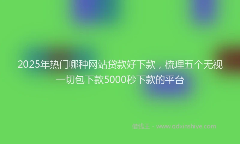 2025年热门哪种网站贷款好下款，梳理五个无视一切包下款5000秒下款的平台