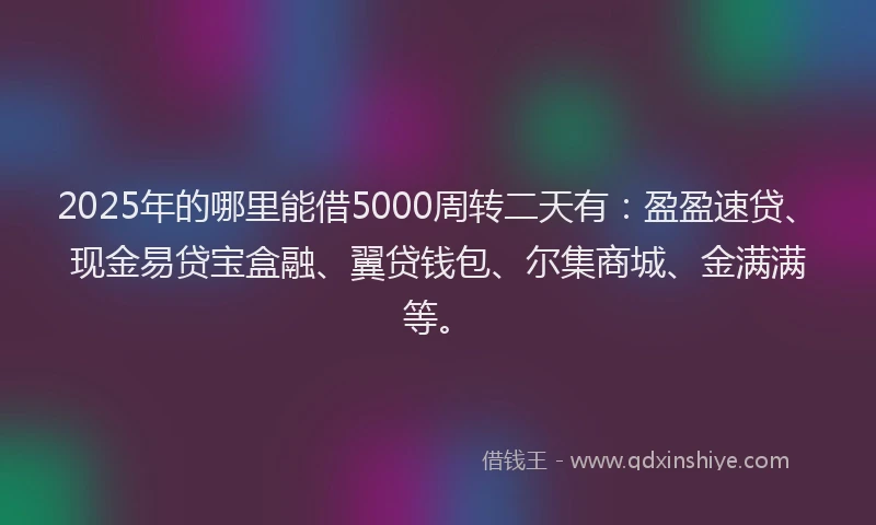 2025年的哪里能借5000周转二天有：盈盈速贷、现金易贷宝盒融、翼贷钱包、尔集商城、金满满等。
