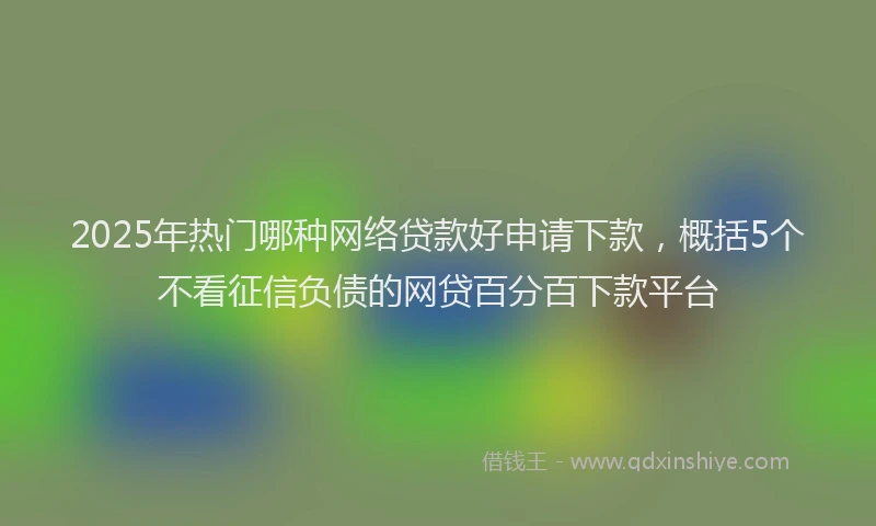 2025年热门哪种网络贷款好申请下款，概括5个不看征信负债的网贷百分百下款平台