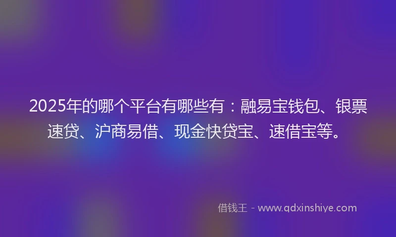 2025年的哪个平台有哪些有：融易宝钱包、银票速贷、沪商易借、现金快贷宝、速借宝等。