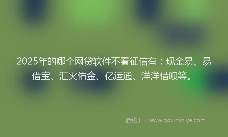 2025年的哪个网贷软件不看征信有：现金易、易借宝、汇火佑金、亿运通、洋洋借呗等。