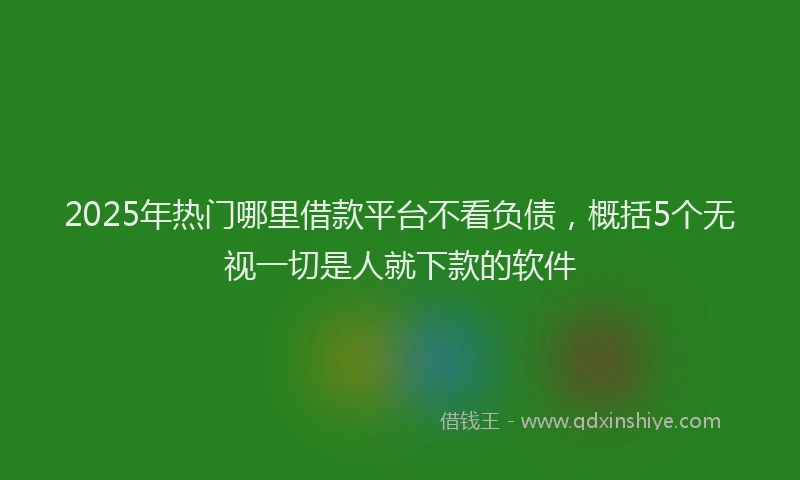2025年热门哪里借款平台不看负债，概括5个无视一切是人就下款的软件