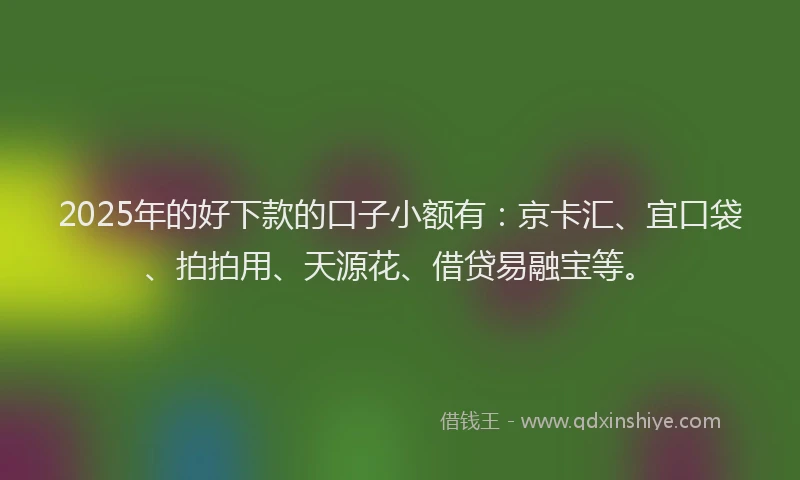 2025年的好下款的口子小额有：京卡汇、宜口袋、拍拍用、天源花、借贷易融宝等。