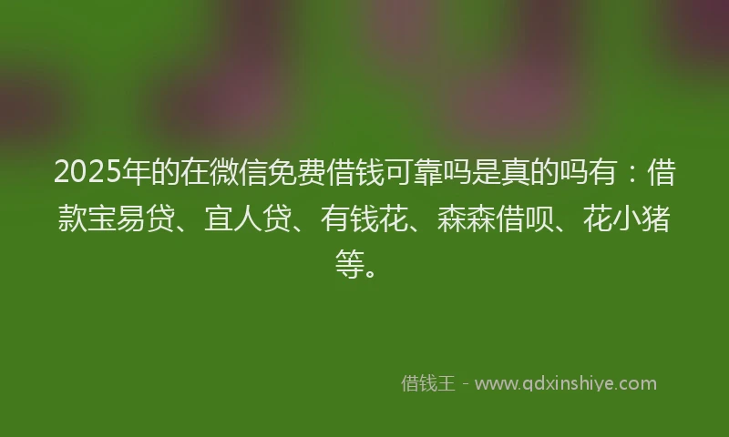 2025年的在微信免费借钱可靠吗是真的吗有：借款宝易贷、宜人贷、有钱花、森森借呗、花小猪等。