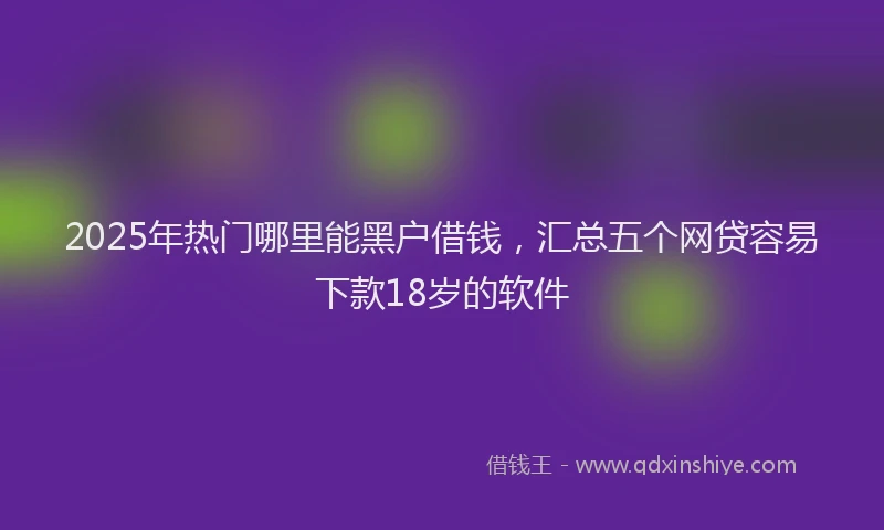 2025年热门哪里能黑户借钱，汇总五个网贷容易下款18岁的软件
