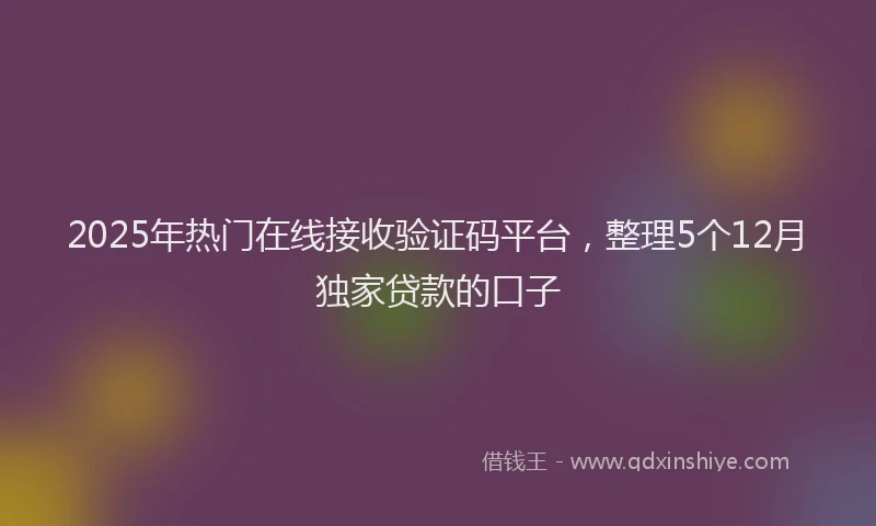 2025年热门在线接收验证码平台，整理5个12月独家贷款的口子