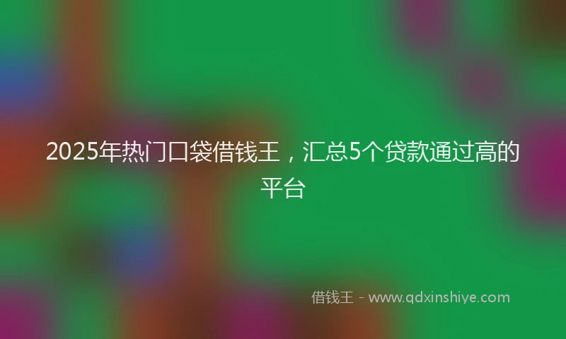 2025年热门口袋借钱王，汇总5个贷款通过高的平台
