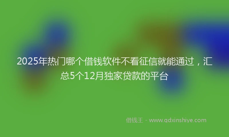 2025年热门哪个借钱软件不看征信就能通过，汇总5个12月独家贷款的平台