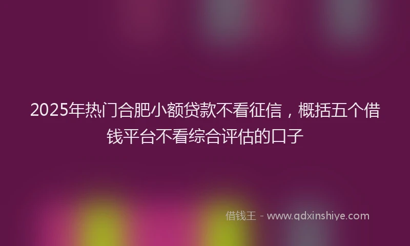 2025年热门合肥小额贷款不看征信，概括五个借钱平台不看综合评估的口子