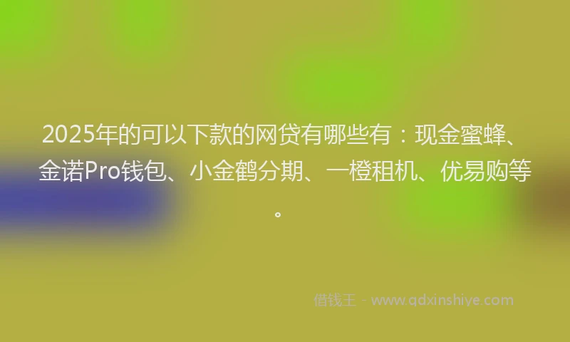 2025年的可以下款的网贷有哪些有：现金蜜蜂、金诺Pro钱包、小金鹤分期、一橙租机、优易购等。