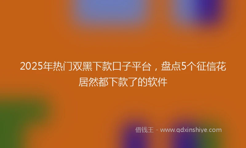 2025年热门双黑下款口子平台，盘点5个征信花居然都下款了的软件