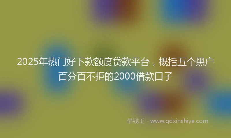 2025年热门好下款额度贷款平台，概括五个黑户百分百不拒的2000借款口子