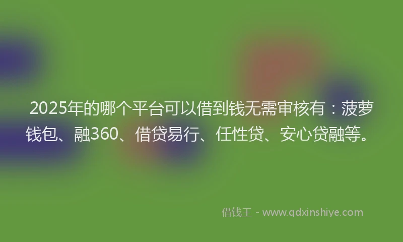 2025年的哪个平台可以借到钱无需审核有：菠萝钱包、融360、借贷易行、任性贷、安心贷融等。