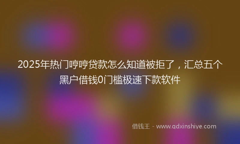 2025年热门哼哼贷款怎么知道被拒了，汇总五个黑户借钱0门槛极速下款软件