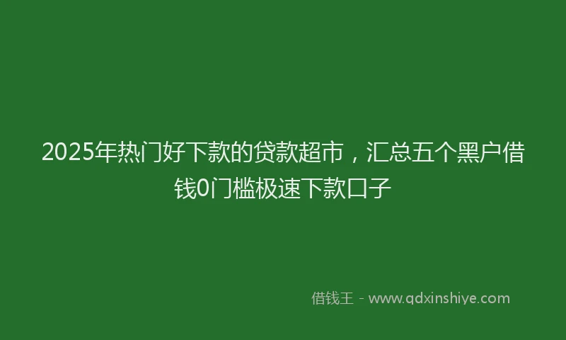 2025年热门好下款的贷款超市，汇总五个黑户借钱0门槛极速下款口子