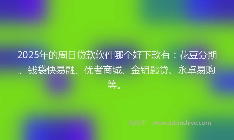 2025年的周日贷款软件哪个好下款有：花豆分期、钱袋快易融、优者商城、金钥匙贷、永卓易购等。