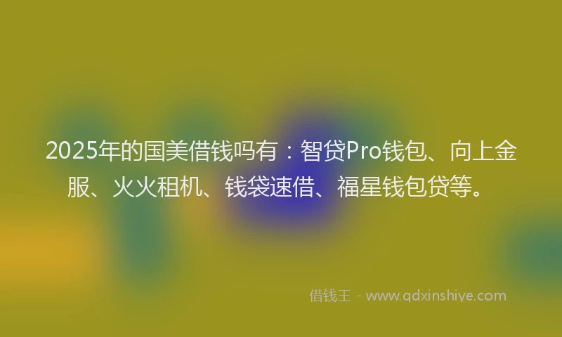 2025年的国美借钱吗有：智贷Pro钱包、向上金服、火火租机、钱袋速借、福星钱包贷等。