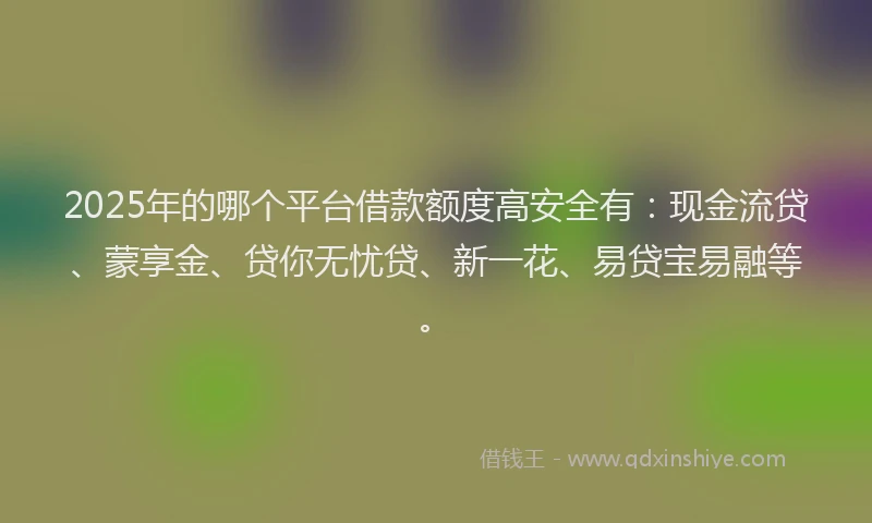 2025年的哪个平台借款额度高安全有：现金流贷、蒙享金、贷你无忧贷、新一花、易贷宝易融等。