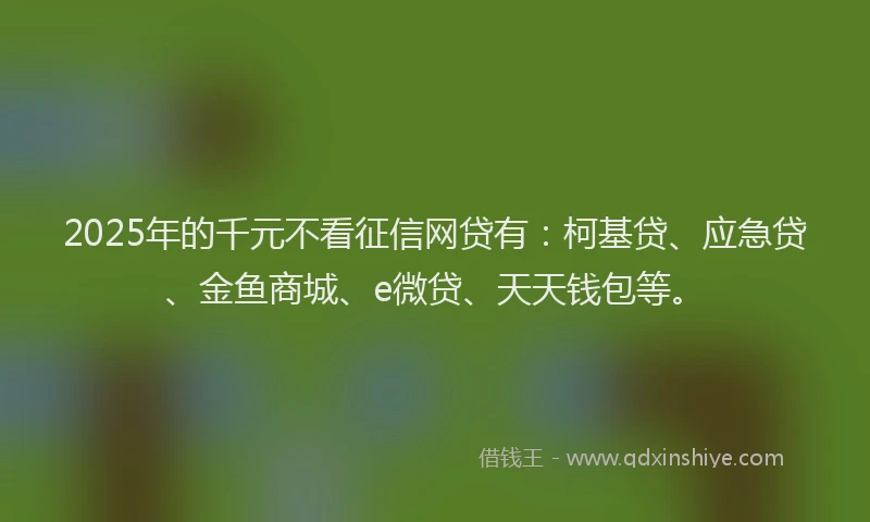 2025年的千元不看征信网贷有：柯基贷、应急贷、金鱼商城、e微贷、天天钱包等。