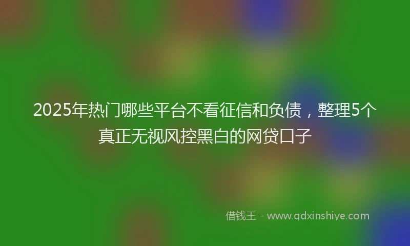 2025年热门哪些平台不看征信和负债，整理5个真正无视风控黑白的网贷口子