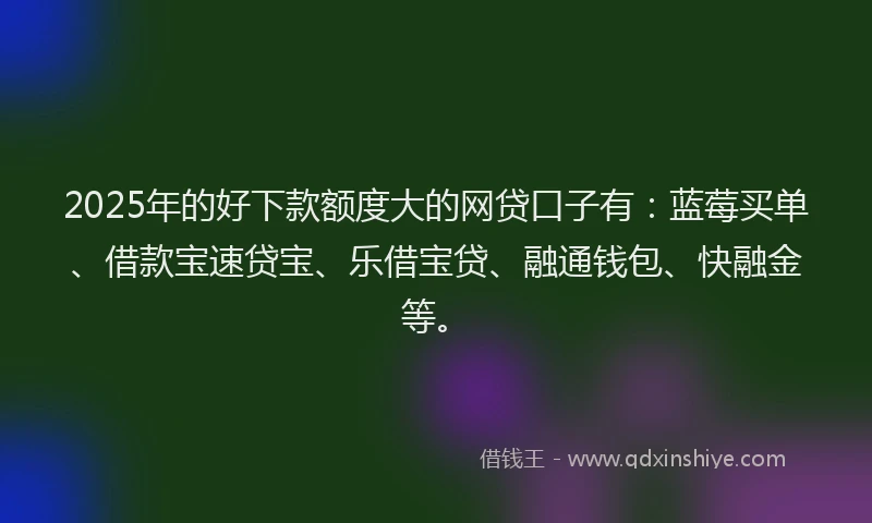 2025年的好下款额度大的网贷口子有：蓝莓买单、借款宝速贷宝、乐借宝贷、融通钱包、快融金等。