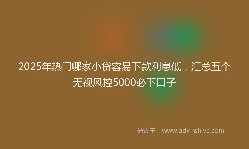 2025年热门哪家小贷容易下款利息低，汇总五个无视风控5000必下口子