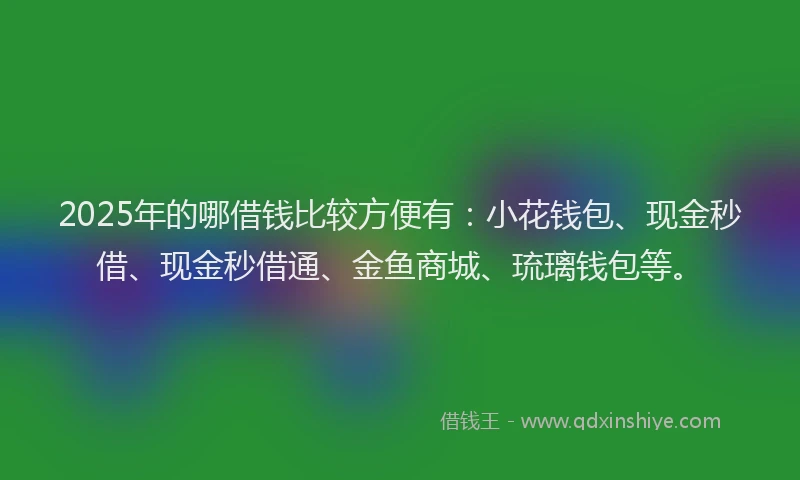 2025年的哪借钱比较方便有：小花钱包、现金秒借、现金秒借通、金鱼商城、琉璃钱包等。