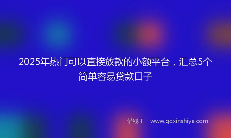 2025年热门可以直接放款的小额平台，汇总5个简单容易贷款口子