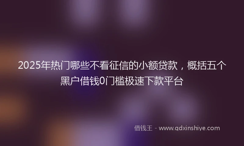 2025年热门哪些不看征信的小额贷款，概括五个黑户借钱0门槛极速下款平台