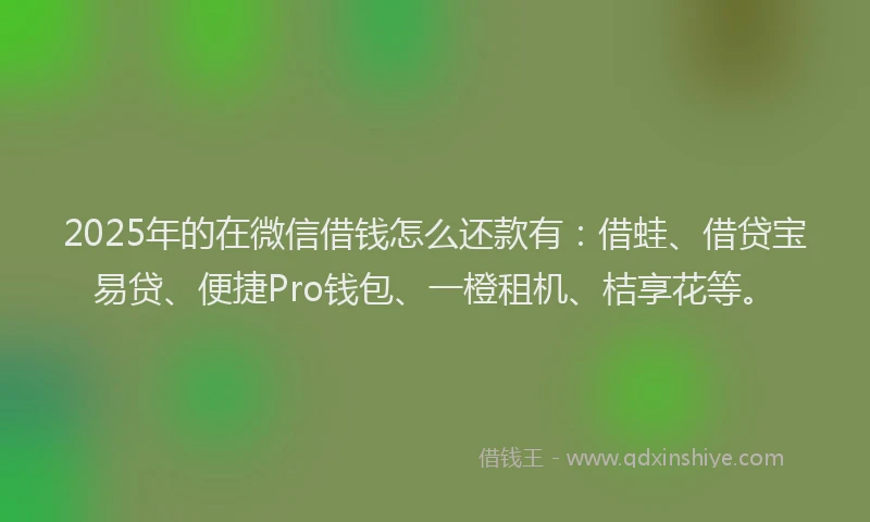 2025年的在微信借钱怎么还款有：借蛙、借贷宝易贷、便捷Pro钱包、一橙租机、桔享花等。