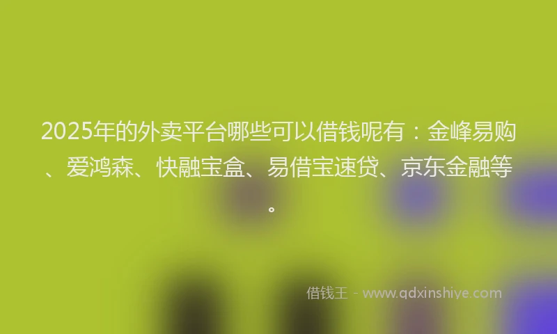 2025年的外卖平台哪些可以借钱呢有：金峰易购、爱鸿森、快融宝盒、易借宝速贷、京东金融等。