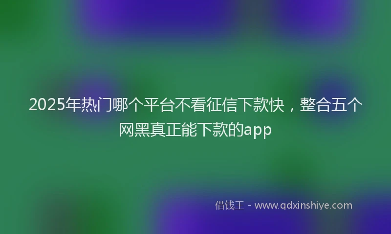 2025年热门哪个平台不看征信下款快，整合五个网黑真正能下款的app